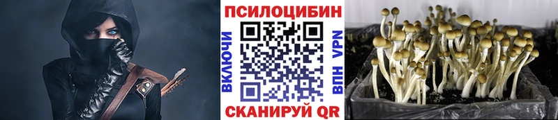 Псилоцибиновые грибы GOLDEN TEACHER  Николаевск 